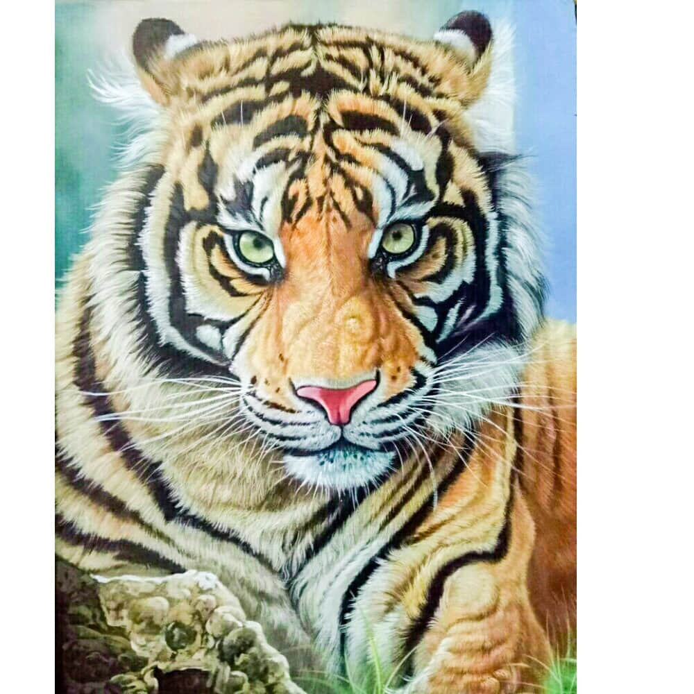 Beautiful Tiger painting - photo