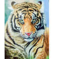 Beautiful Tiger painting - photo
