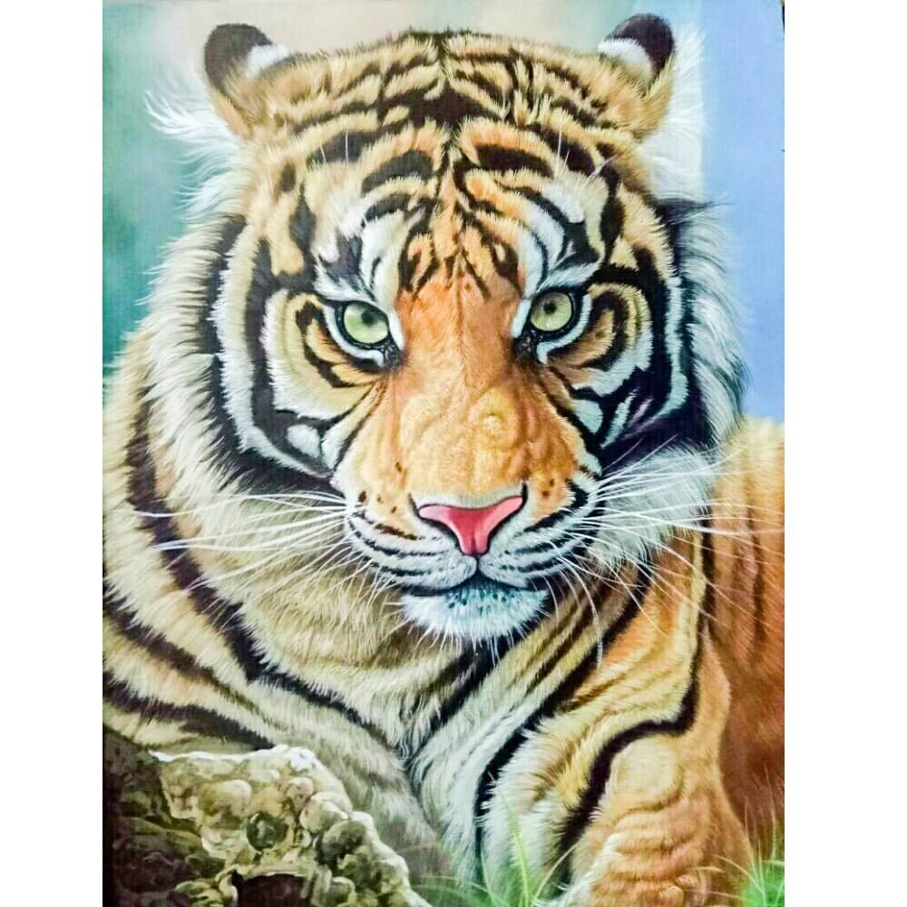 Beautiful Tiger painting