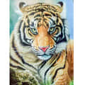 Beautiful Tiger painting - front_view