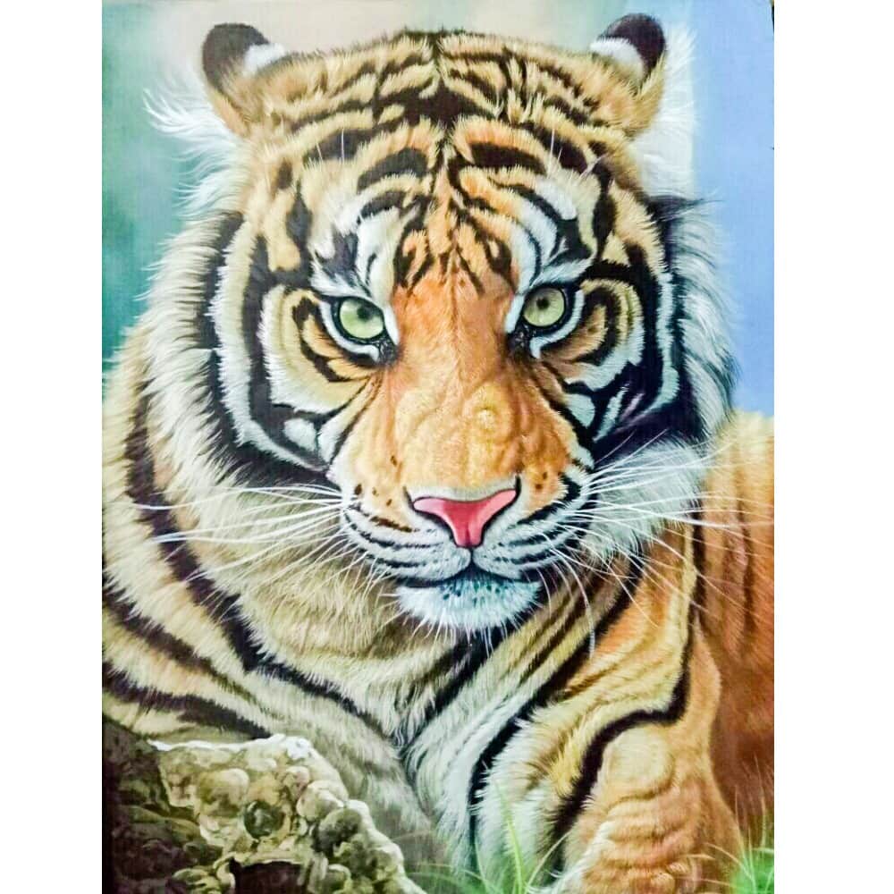 Beautiful Tiger painting - top_view
