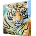 Beautiful Tiger painting - left_view