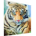Beautiful Tiger painting - right_view