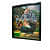 Monkey painting - top_view