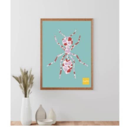 Spider wall art