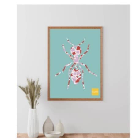 Spider wall art