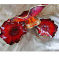 RESIN PLATTER SET - front_view