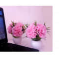 Artificial Triple Flower Plant for Home Decoration (Pink) - rear_view