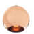Electroplated Glass Globe Pendant Hanging Lights - front_view
