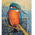 Kingfisher Realistic wall painting - front_view