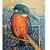 Kingfisher Realistic wall painting - front_view