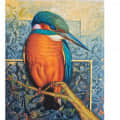 Kingfisher Realistic wall painting - top_view