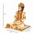 Lord Hanuman Statue - top_view
