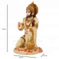 Lord Hanuman Statue - rear_view