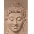 BUDDHA MURAL FOR HOME - photo