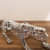 Silver Plated Panther Jaguar Statue - top_view