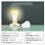 OPPLE LED Light Bulb B22 Base ;5W (40-Watt Equivalent)- 500 Lumen; 6500-Kelvin; Non-dimmable;Cool Daylight ; Life Time 20000 Hours Plus; 180Deg.Wide Range Lighting (5W;B22;Cool White; Pack of 6) - rear_view