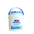 Fevicol Marine - rear_view