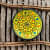 EARTHENWALLPLATES artificial wall plates yellow - photo