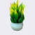 Artificial Green Yellow Leaf Plant - top_view