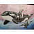 The Orca's Marine Beauty Wall Painting - top_view