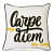 Carpe Diem Typographical Cushion Cover, 16x16 - photo
