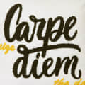 Carpe Diem Typographical Cushion Cover, 16x16 - front_view