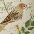 Nomaadi Embroidered Bird Decorative Cushion Cover 18x18 inches - front_view