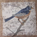Blue Sparrow Bird Cushion Cover - front_view
