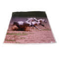 Digital Horse Print (Blanket) - top_view