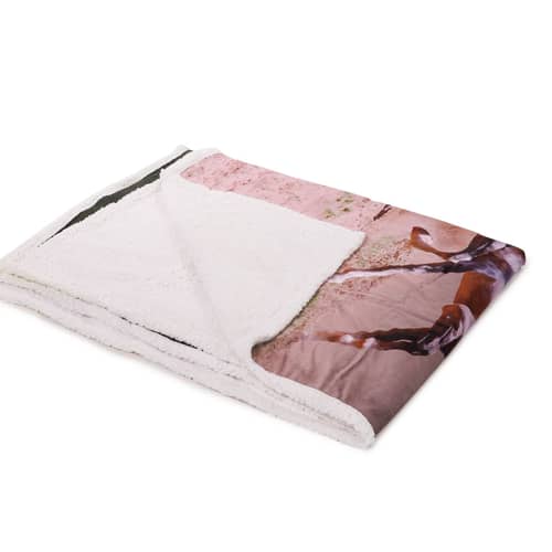 Digital Horse Print (Blanket)