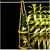 COUPLE PAINTED  HANGING BOTTLE - front_view