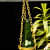 COUPLE PAINTED  HANGING BOTTLE - rear_view