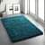 Handwoven Plain shag Collection Super Soft Microfiber Rugs - front_view