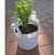 Fabric Grow bags 12*12( inches ) round shape 5 bags set - photo