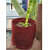 Fabric Grow bags 6*6 (inches) set of 5 bags magenta colour - front_view