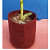 Fabric Grow bags 6*6 (inches) set of 5 bags magenta colour - rear_view