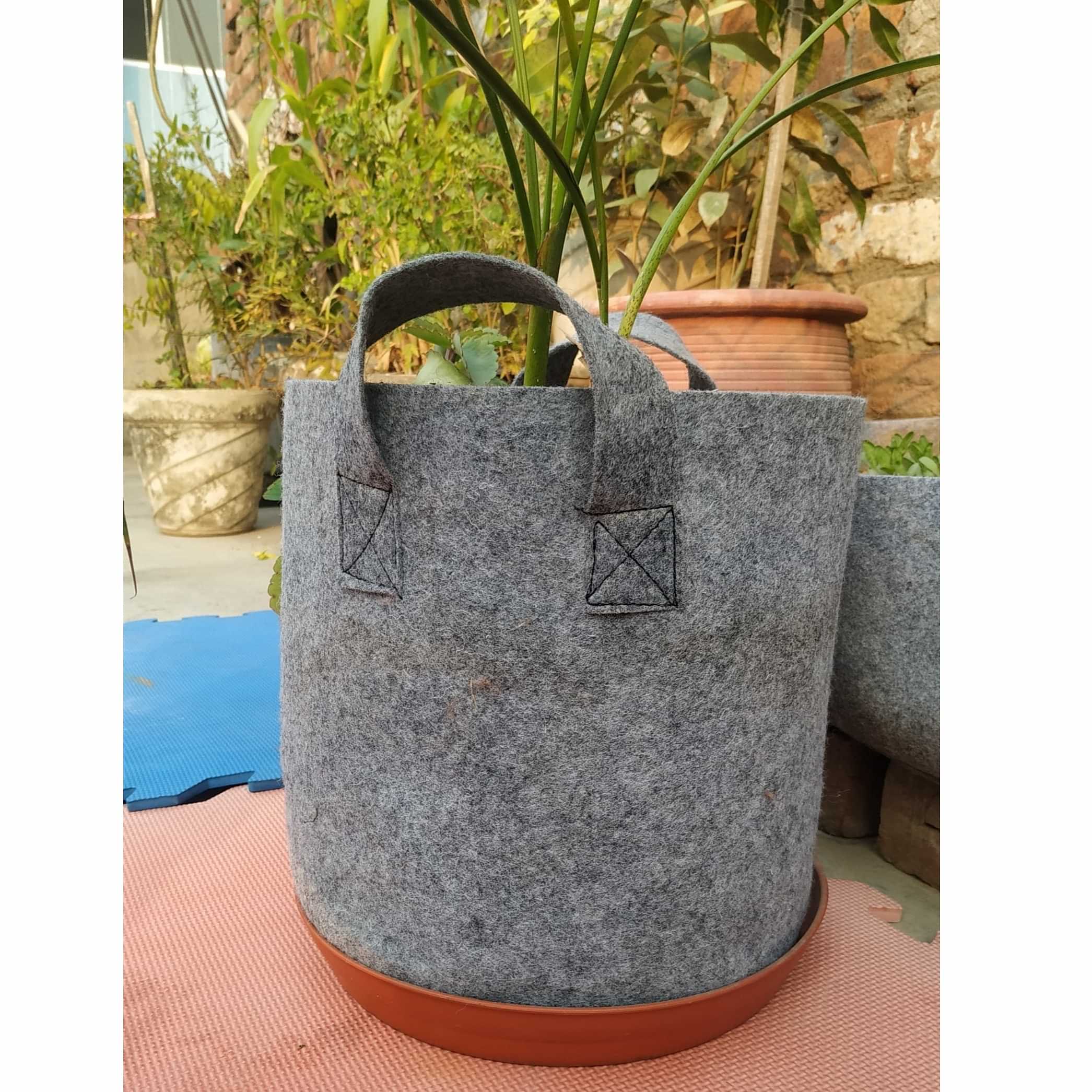 Fabric grow bags round shape set of 5 bags - photo