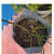 Fabric grow bags round shape set of 5 bags - rear_view