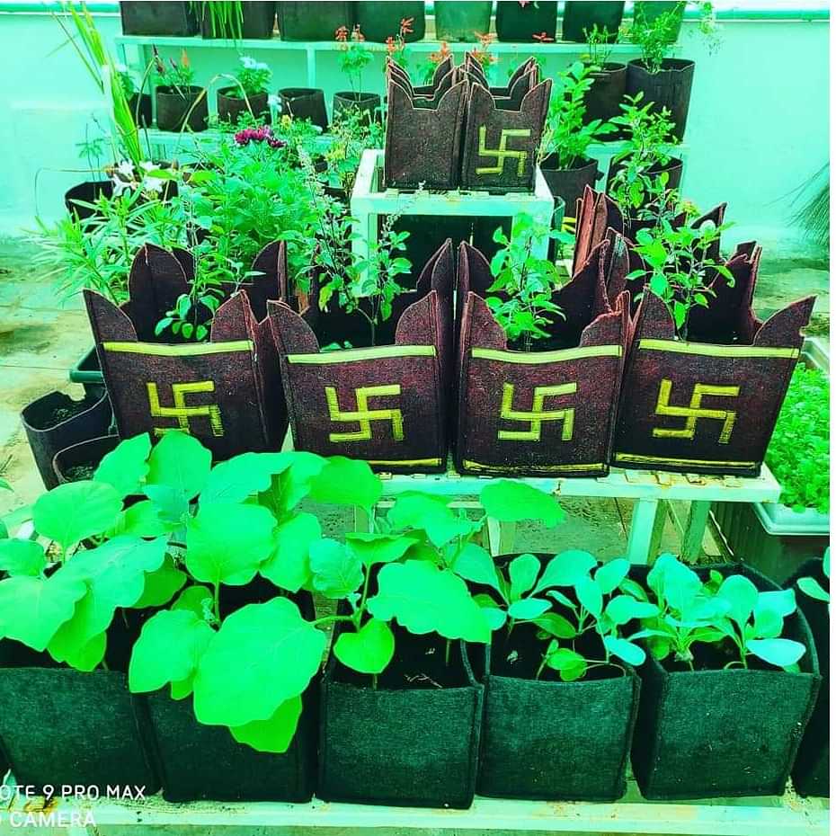 Grow bags tusli special for basil plant set of 3 bags - photo