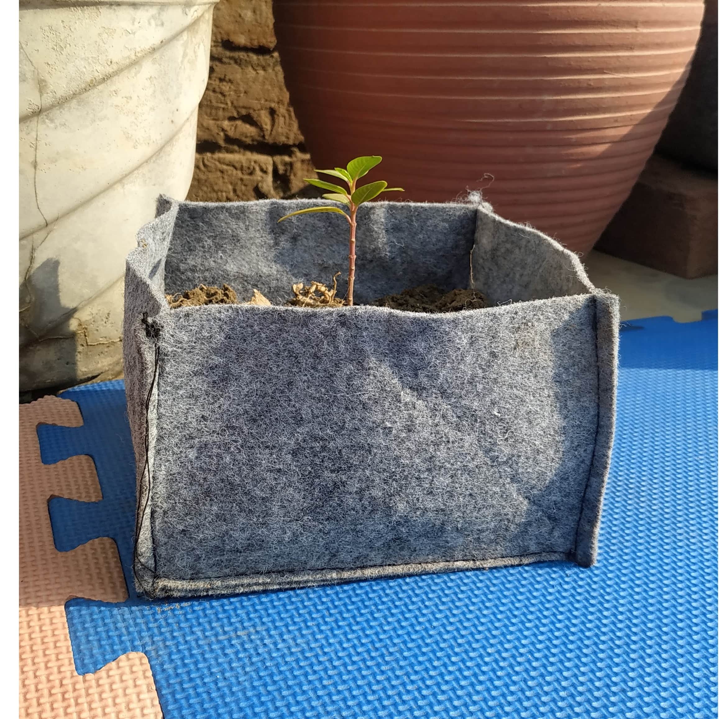 Fabric grow bags square shape 4*4*4 inches set of 10 bags - top_view