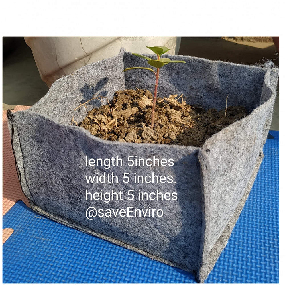 Fabric grow bags square shape  set of 10 bags - photo