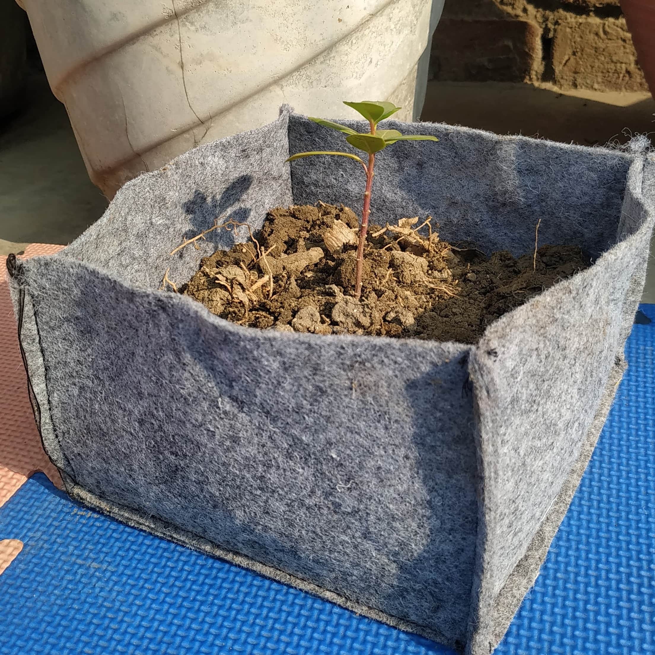 Fabric grow bags square shape  set of 10 bags - front_view