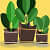 Fabric grow bags square shape  set of 10 bags - rear_view