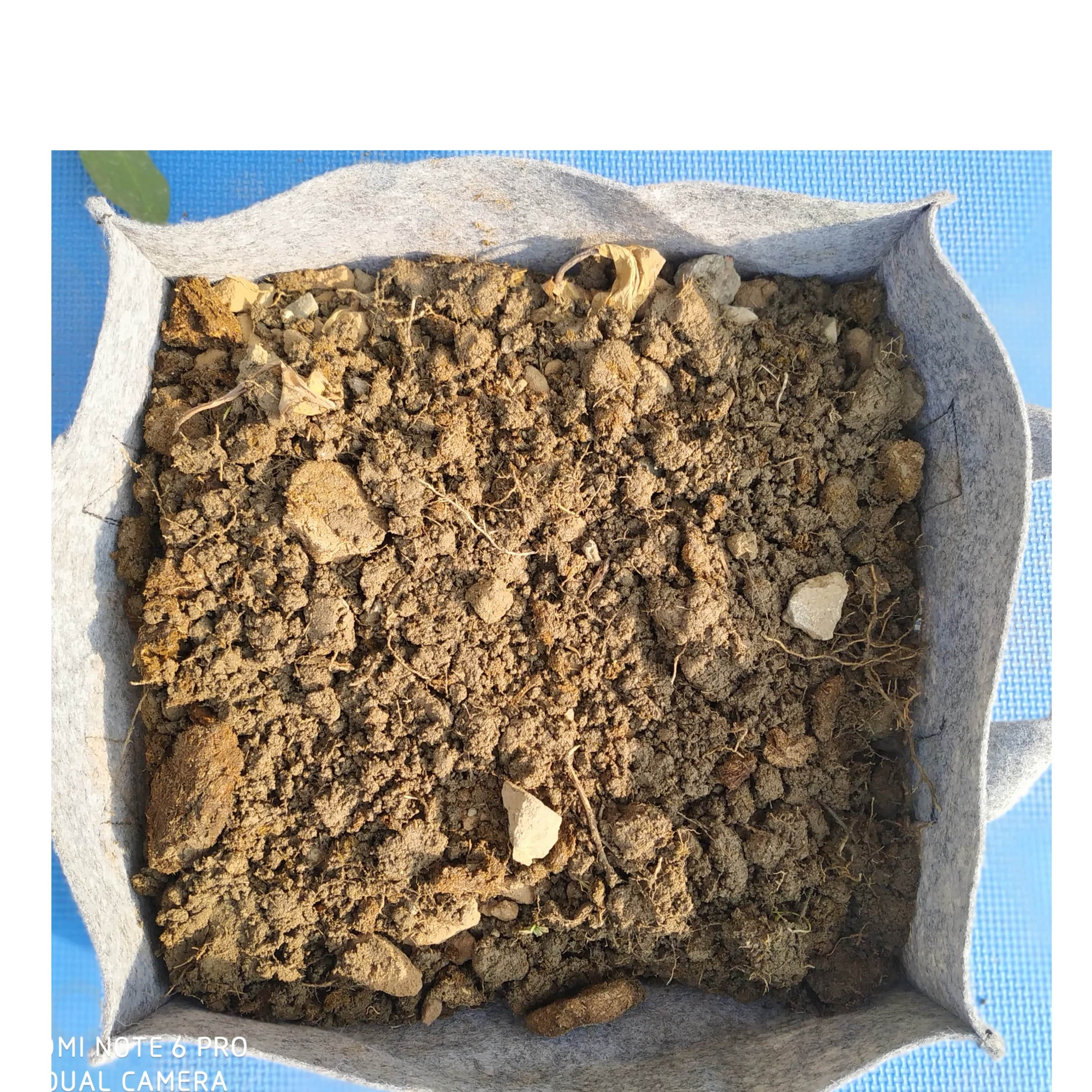 Fabric grow bags square shape with handle - rear_view