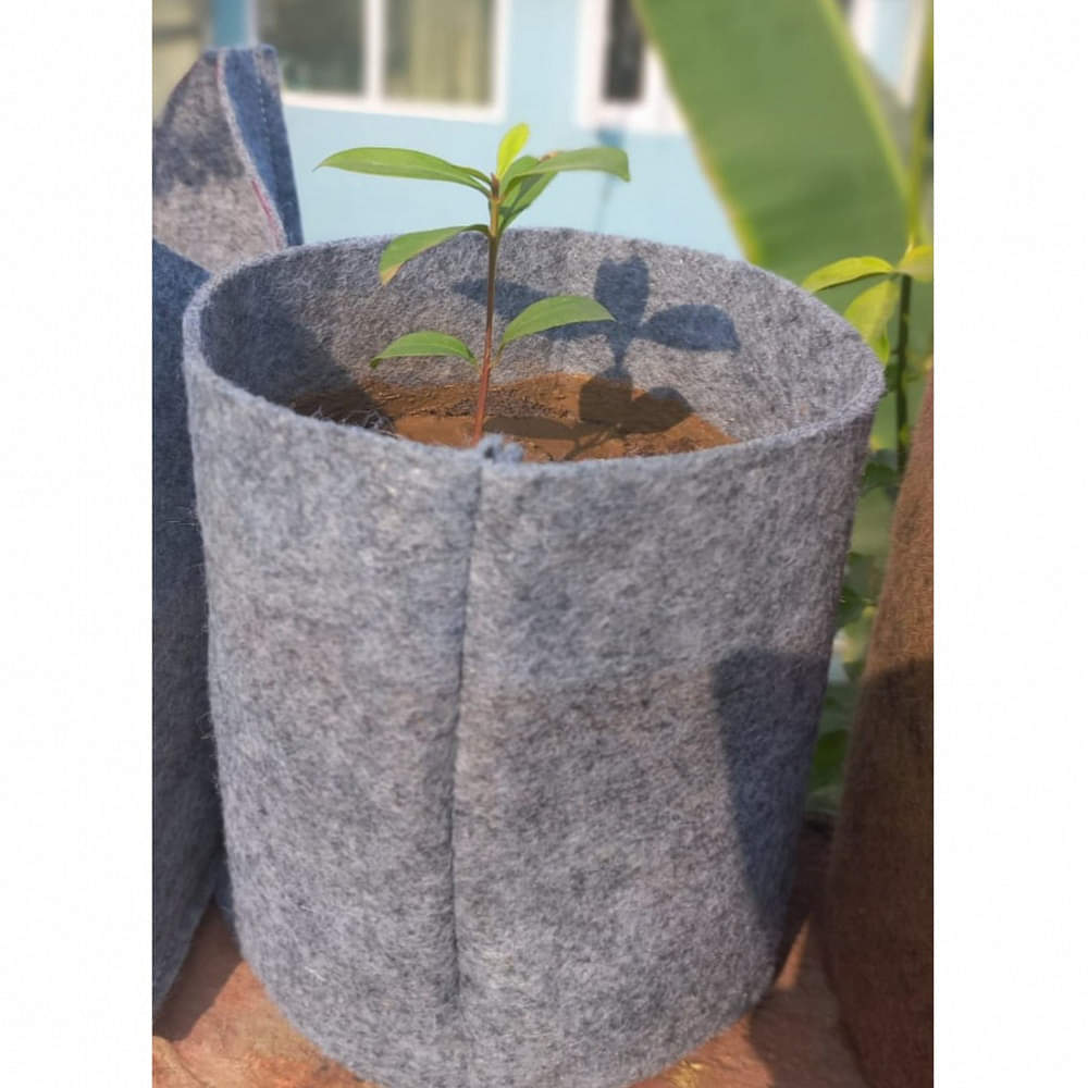 Fabric Grow bags magenta color - photo