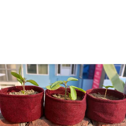Fabric grow bags 6*4 round shape