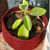 Fabric grow bags 6*4 round shape - front_view