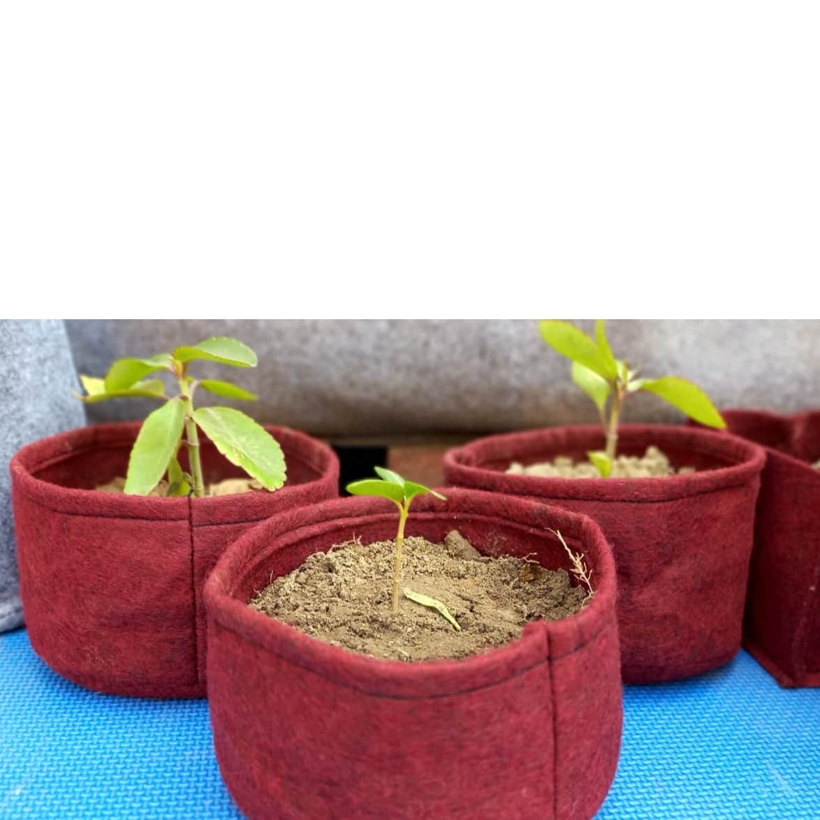 Fabric grow bags 6*4 round shape - top_view