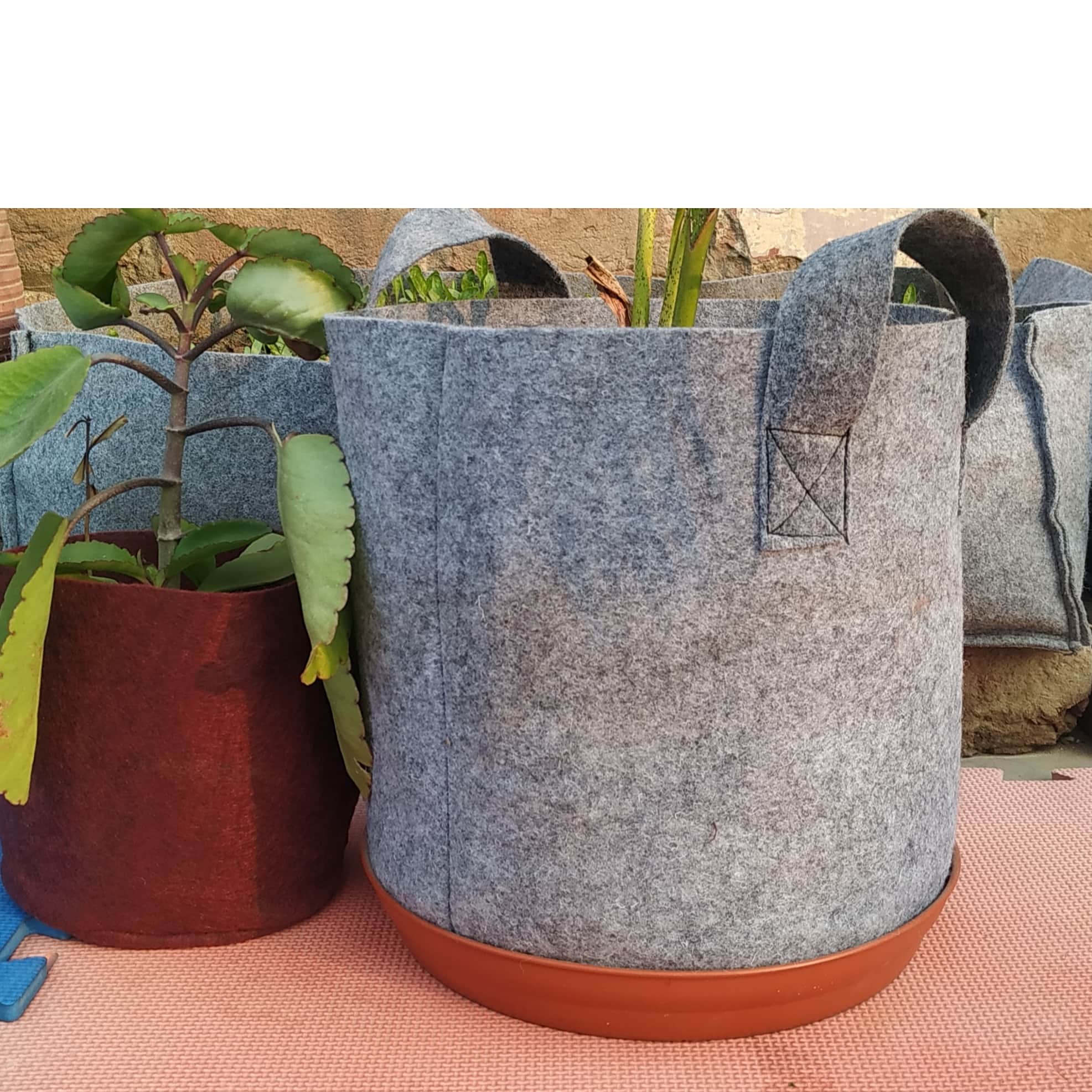 Fabric grow bags 8*8 round shape Light Grey set of 5 bags - top_view